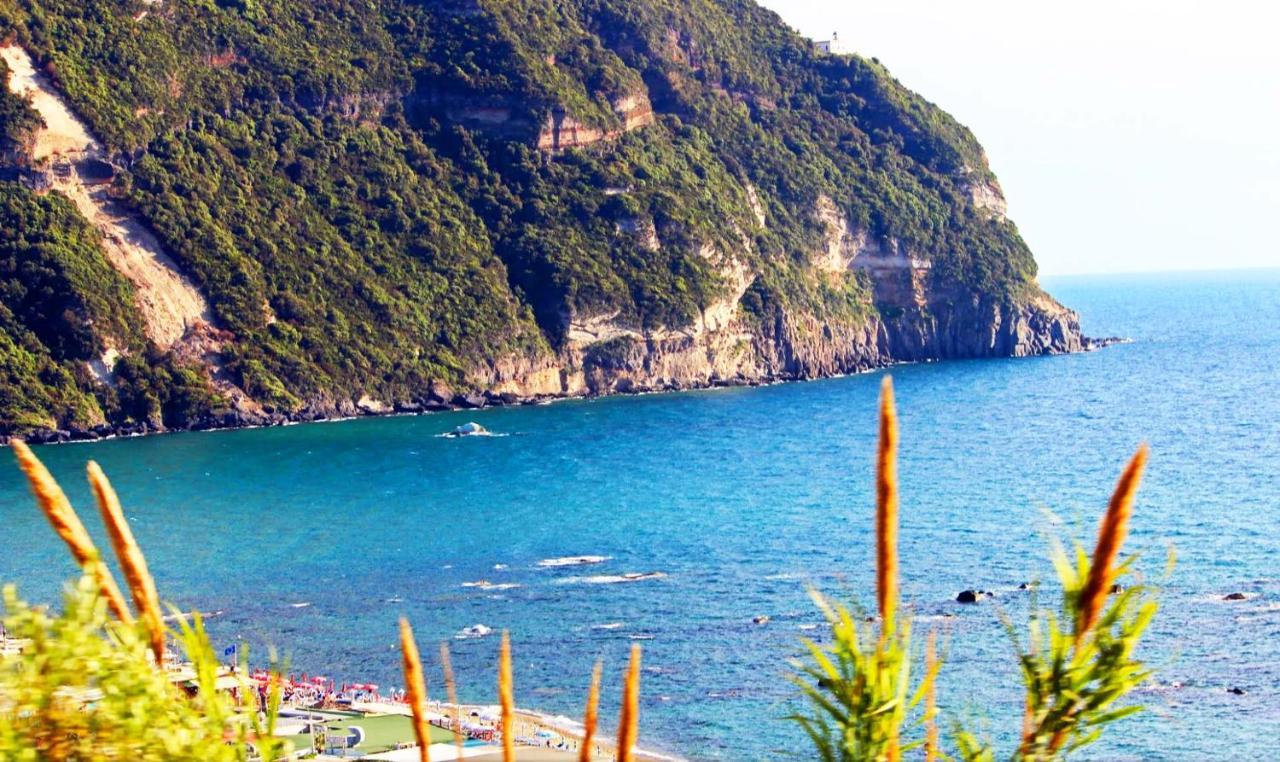 Appartamenti Baia Di Citara Forio di Ischia 外观 照片